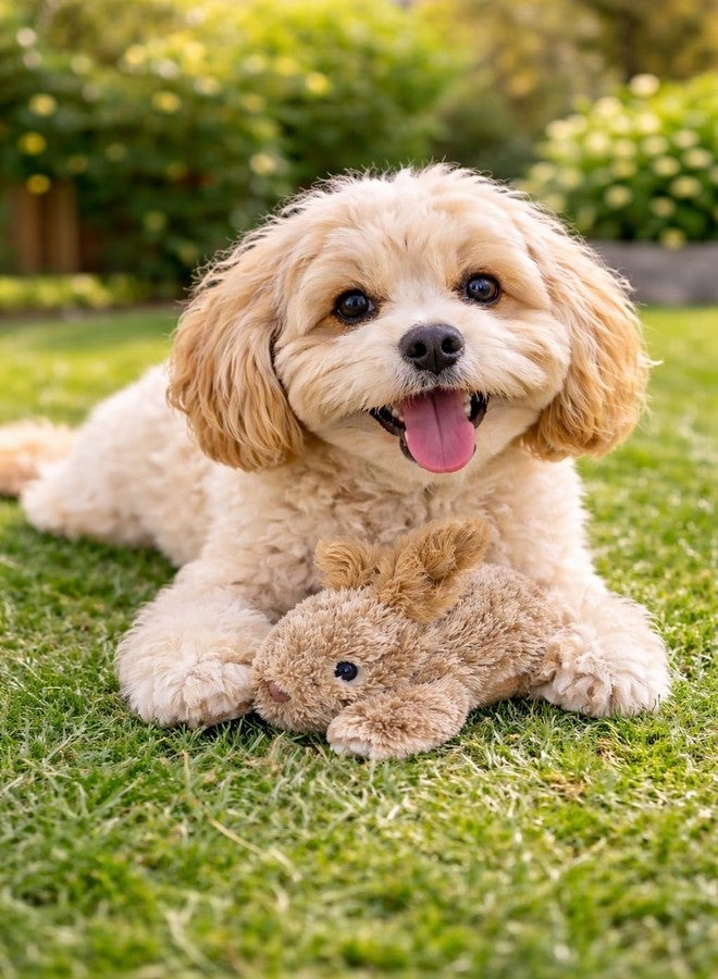 Multipet Rabbit Dog Toy w/Squeaker | Thumperz Dog Toy | Stuffed Bunny Toy for Dogs | Plush Squeaker Bunnies Dogs Toy | Small/Medium Breed (Tan/Brown, 6") - Image 4